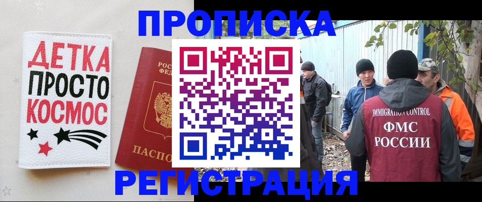 прописка поиск в Александровске